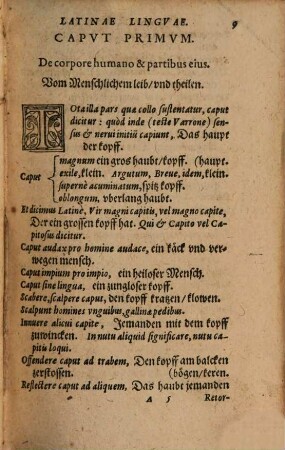 Tyrocinium Latinae linguae : Ex optimis quibusdam auctoribus collectum, et in capita digestum, in gratiam studiosae iuventutis