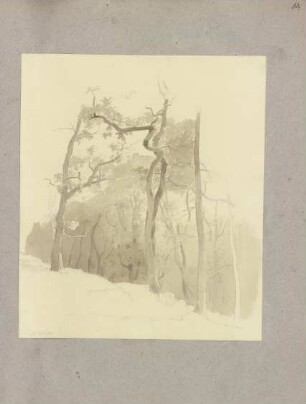 Klebebände, Band 18, Seite 83