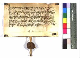 Sebolt Perlin, Bürger zu Dinkelsbühl erhält von Schenk Conrad dem ält. den obengenannten Hof.