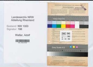 Entnazifizierung Adolf Walter, geb. 29.02.1904 (Kaufm.Angest.)
