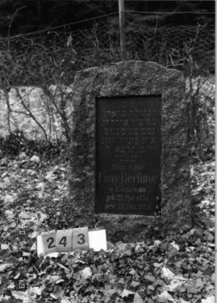 Grabstein 243
