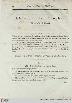Absterben der Knochen