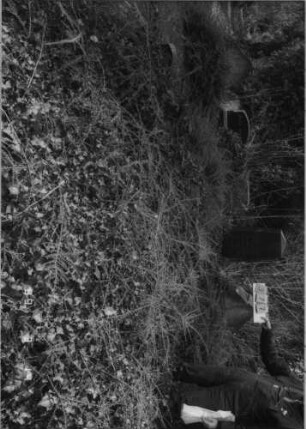 Grabstein 377 (Index: 100093457) Maße HxBxT: 58x225x14 cm Besonderheit: Doppelgrab für Eheleute: Grabstein 377