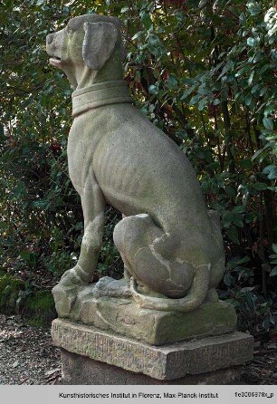 Zwei sitzende Hunde