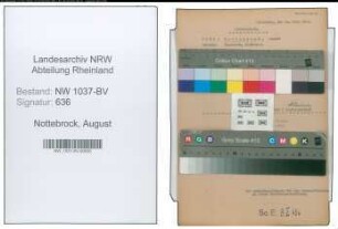 Entnazifizierung August Nottebrock , geb. 05.01.1894 (Handelsvertreter)