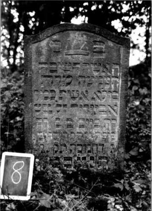 Grabstein 8 [Nir S. 32 Nr. 1.07]