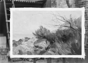 Ostseestrand