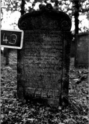 Grabstein 43 [Nir S. 57 Nr. 5.12]
