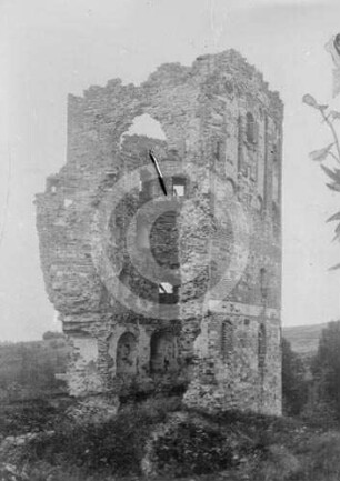 Ruine Neuhausen