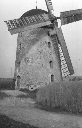 Falkenhain-Voigtshain. Turmholländer (Negativ Dr. Gleisberg, Grimma)