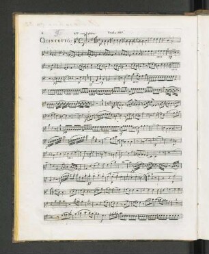 Viola 1ma.