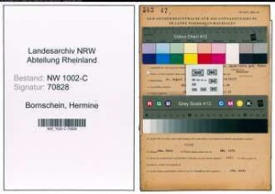 Entnazifizierung Hermine Bornschein, geb. 17.08.1887 (Kauffrau)