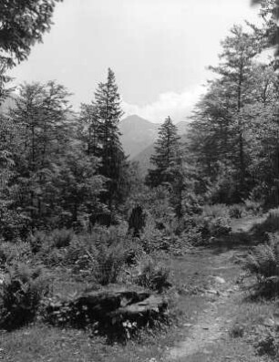 Kärnten. Landschaftsausschnitt im Gebirge