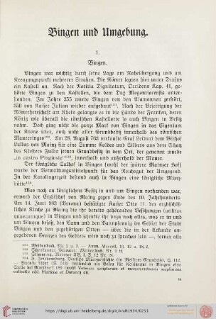 Bingen und Umgebung