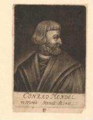 Conrad Mendel; Senator