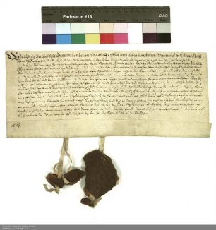 Propst, Dechant und Konvent von Neuenberg leihen Dr. Leonhard Agricola ein Gut in Neuenberg