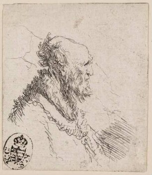 Kahlköpfiger alter Mann mit kurzem Bart, Profil nach rechts