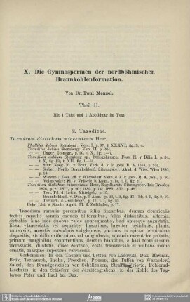 Die Gymnospermen der nordböhmischen Braunkohleformation. Theil II.