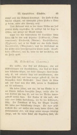 III. Eidechsen. (Lacerta.)