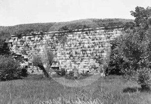 Wallanlage der Burg Arensburg