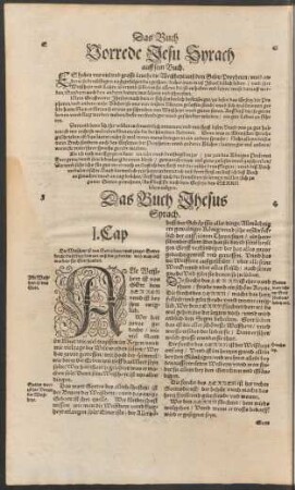 Das Buch Jhesus Syrach.