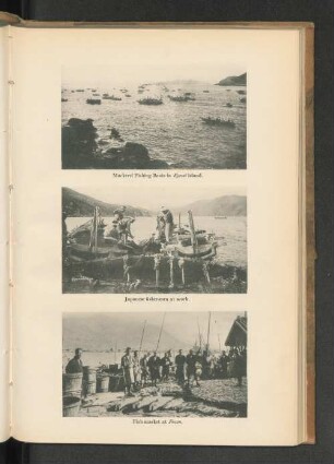 Mackerel Fishing Basin in Kysai island.
