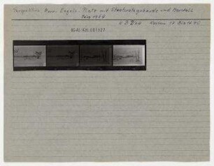 Schaubilder des Marx-Engels-Platzes mit dem geplanten Neubau des Ministeriums für Auswärtige Angelegenheiten. Berlin, Mitte, Marx-Engels-Platz