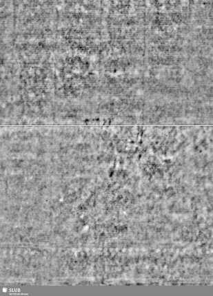 Lilienschild + IESV / LW = Bd.2, 21/22+129/130