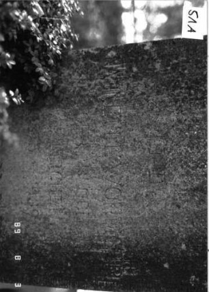 Grabstein 51 (Index: 100102143) Material: Kalkstein Zustand: verwittert Maße HxBxT: 112x52x15 cm Beschreibung: Stele, Sockel, Segmentbogenabschluß Symbolik: Davidstern: Grabstein 51A