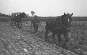 Born: Erbhofbauer am Pflug mit Pferd und Knecht, pflügend