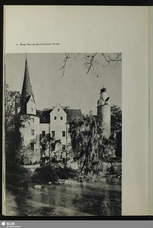 Burg Stein an der Zwickauer Mulde