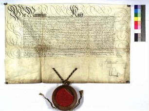 Kaiser Maximilian II. bestätigt den Ganerben zu Talheim (Dalhaim) die hohe Gerichtsbarkeit (halßgericht) zu Talheim, die diesen Kaiser Ferdinand [I.] verliehen hatte; dabei wird Hans von Steinheim (Stainhaim), Anwalt als Bevollmächtigter der Ganerben zu Talheim erwähnt.