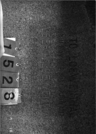 Grabstein 1528 [Hahn S. 147 Grab-Nr. 2063]: Grabstein 1528 (Detailaufnahme) [Hahn S. 147 Grab-Nr. 2063]