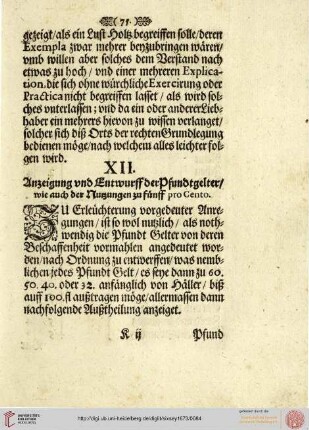 XII. Anzeigung und Entwurff der Pfundtgelter