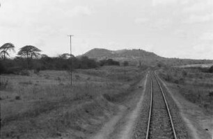 Blick entlang der Bahntrasse : Eine Bahntrasse führt durch ein frisch gerodetes Gebiet westlich von Dodoma.