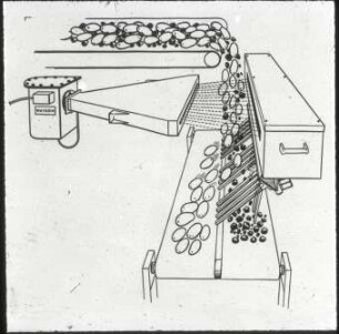 Automatische Beimengungstrennanlage (WATSON)