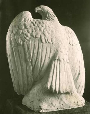 Adler, Rückseite, Entwurf D. Rumpf