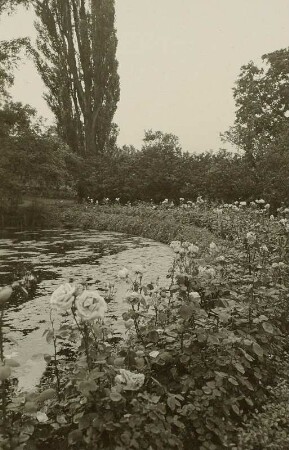 Dohma-Großcotta. Schloss Cotta. Am Schlossteich