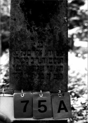 Grabstein 75 (Index: 100109327) Material: Sandstein oder Marmor (?), Sockel Kalkstein, eingelegte Bleibuchstaben Zustand: verwittert Maße HxBxT: 107x28x14 cm Beschreibung: Obelisk, Sockel Besonderheit: Nummer auf Rückseite: 156: Grabstein 75A