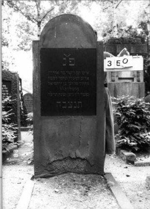 Grabstein 350