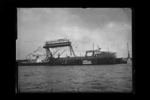 Galtgarben (1952), Lauter-Elbe