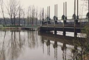 Hochwasser der Aller 1994 bei Bannetze