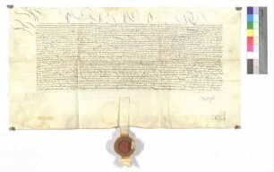 König Maximilian bestätigt dem Ulrich von Alfingen (Ahlfingen) die vor dem Hofgericht zu Rottweil 1501 vollzogene Übergabe von fahrenden und liegenden Gütern an Wolf von Alfingen (Ahlfingen).