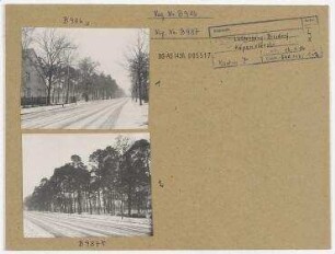 Straßenansicht. Berlin, Lichtenberg (heute zu Marzahn), Biesdorf, Köpenicker Straße