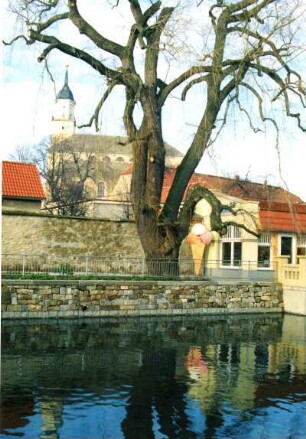 Bischofswerda. Stadtansichten, aufgenommen 1997/1998