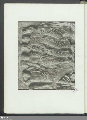 Gruppe von Greisen