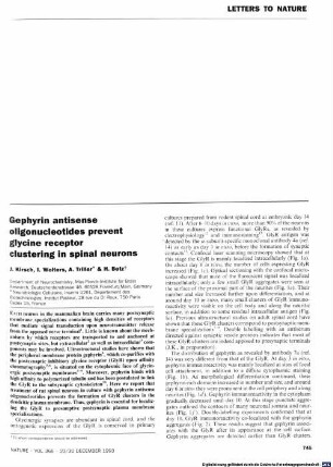 Gephyrin antisense oligonucleotides prevent glycine receptor clustering in spinal neurons