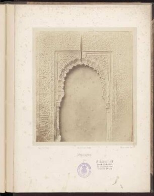 Abbildungen [Pl. 1 - 12]