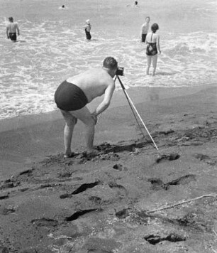 "Der Herr Kollege", "Schnappschuss am Strand"