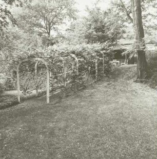 Park, Grimma